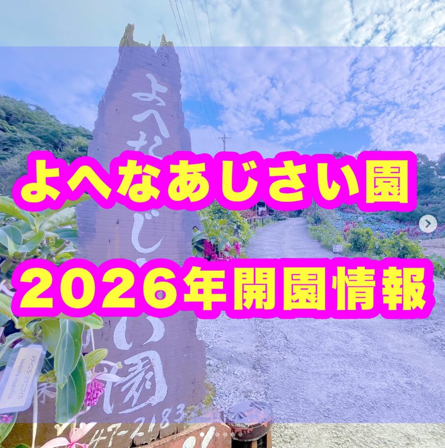 2026年よへなあじさい園 開園のフライヤー