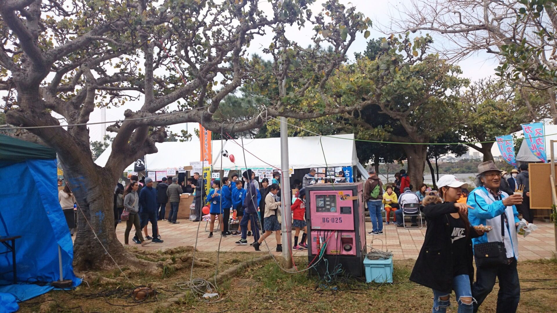 那覇美らさくらまつりの様子