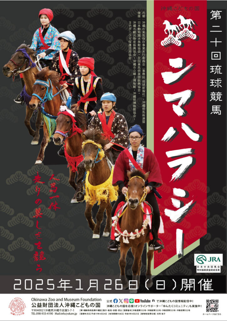 第20回琉球競馬ンマハラシーのフライヤー