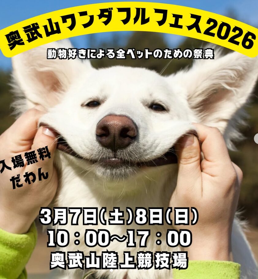 奥武山ワンダフルフェス 2026のフライヤー1