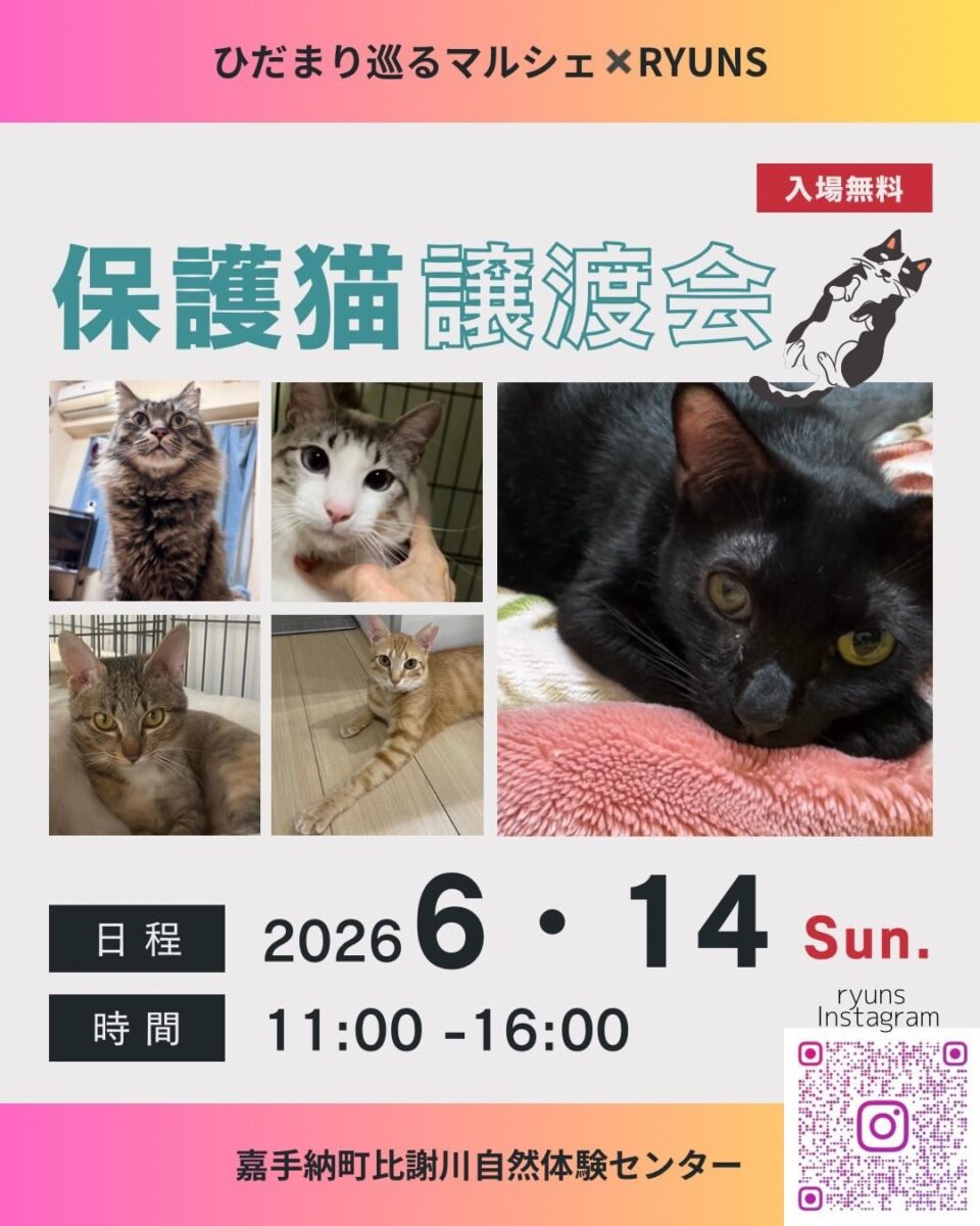 ひだまりめぐるマルシェ 保護猫譲渡会のフライヤー