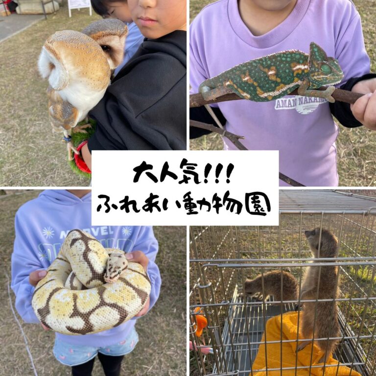 ふれあい動物園のフライヤー